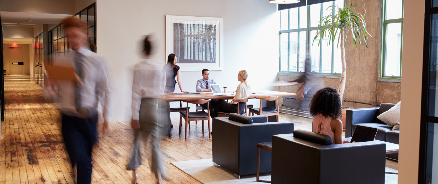 Notified - 2025 Recap: Essential Webinars To Strengthen Your IR Communications